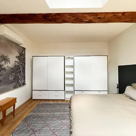 Sublime T2 Duplex Climatise Au Centre Ville!